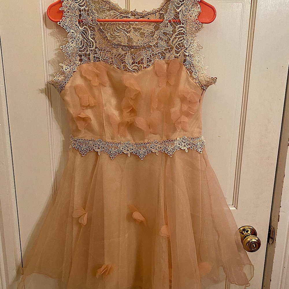 Champagne Pink Laced Dress